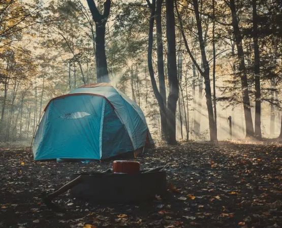 Camping in the Great Smoky Mountains: A True Adventure Awaits