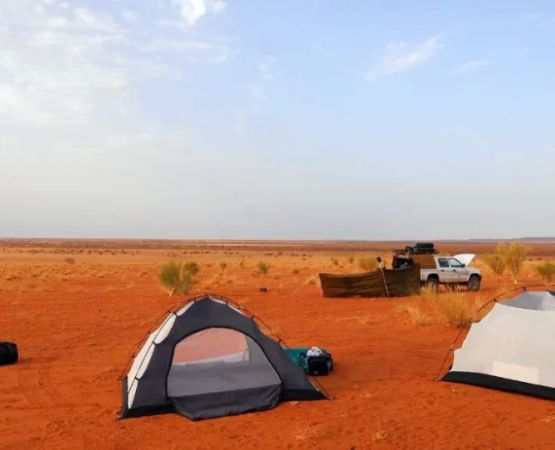 The Ultimate Guide to Camping in the Chihuahuan Desert: Tips, Adventures, and Survival Strategies