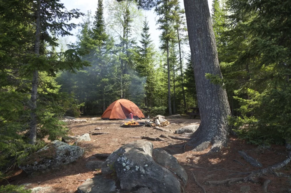 How to Protect Natural Habitats While Camping in the USA