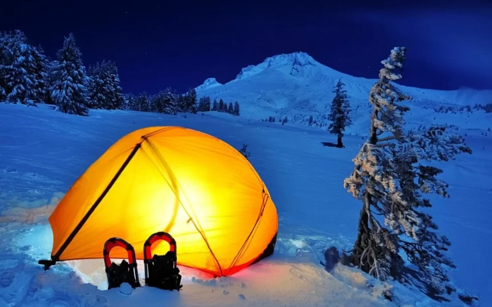 How to Compost While Camping: Eco-Friendly Tips for the Outdoors