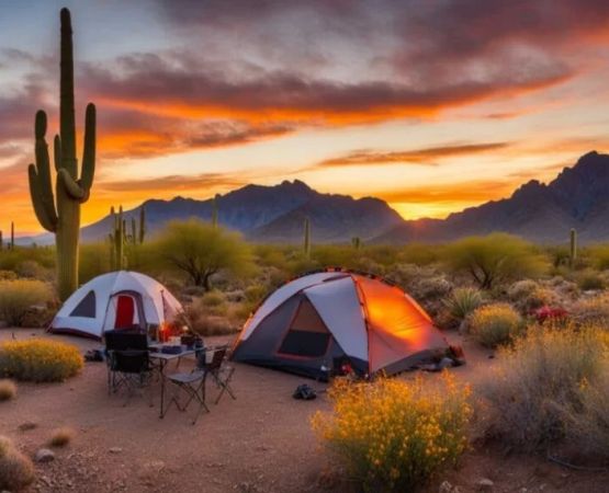 Best Campsites in the Sonoran Desert for an Unforgettable Adventure