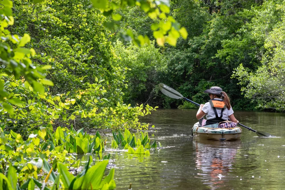 Best Kayaking and Canoeing Opportunities Near Campsites in the USA