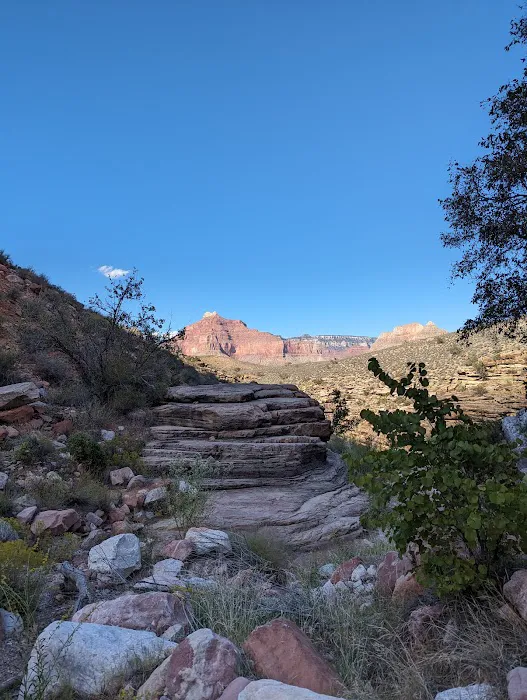 Horn Creek Camp 8