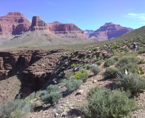 Horn Creek Camp