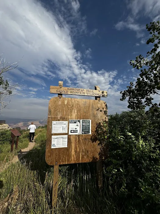 Saddle Mountain Overlook 1