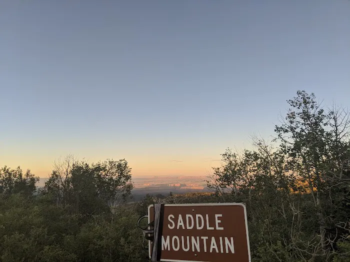 Saddle Mountain Overlook 0