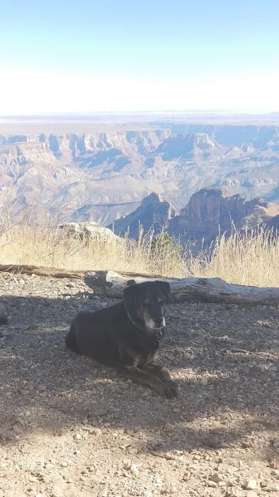 Saddle Mountain Overlook 9