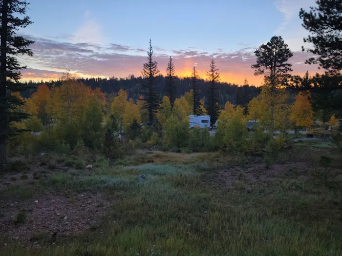Demotte Campground 5