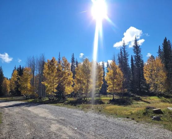 Demotte Campground