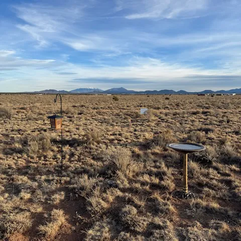 Camp Starview 1