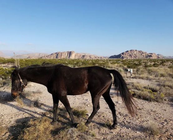 Hueco Rock Ranch - American Alpine Club