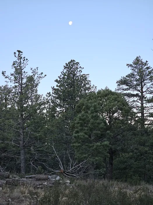 Bush Mountain Wilderness Campground 6
