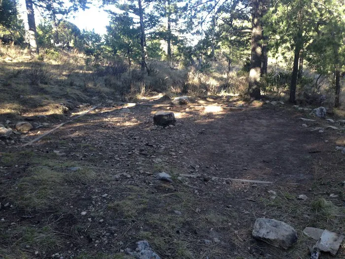 Bush Mountain Wilderness Campground 5