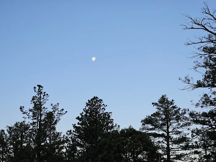 Bush Mountain Wilderness Campground 8