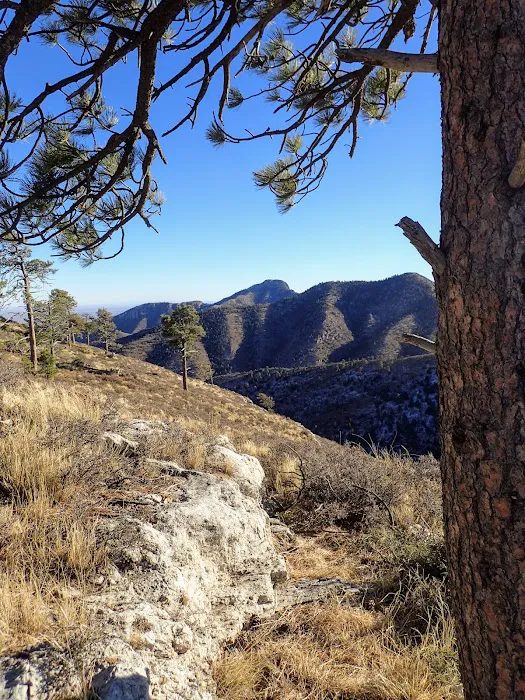 Bush Mountain Wilderness Campground 2