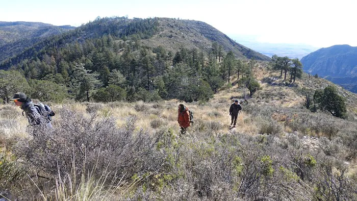 Pine Top Wilderness Campground 0