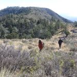Pine Top Wilderness Campground