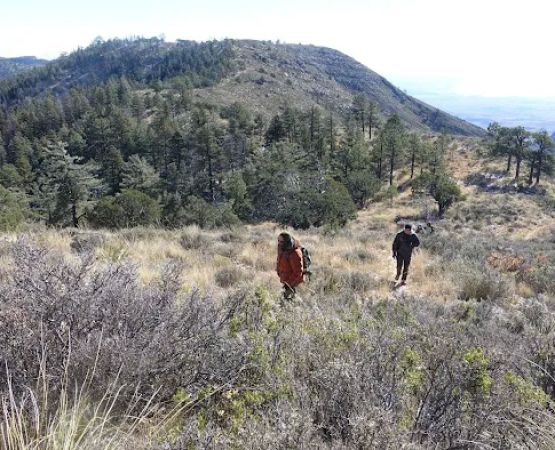 Pine Top Wilderness Campground