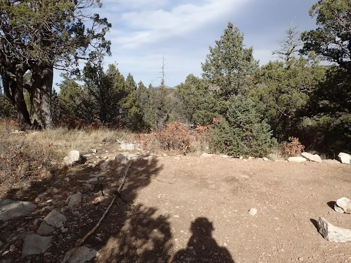 Pine Top Wilderness Campground 9