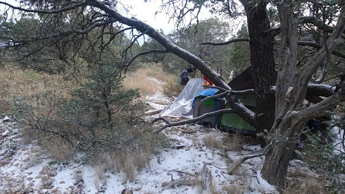 Pine Top Wilderness Campground 1