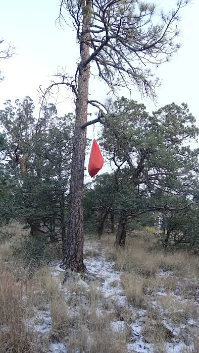 Pine Top Wilderness Campground 5