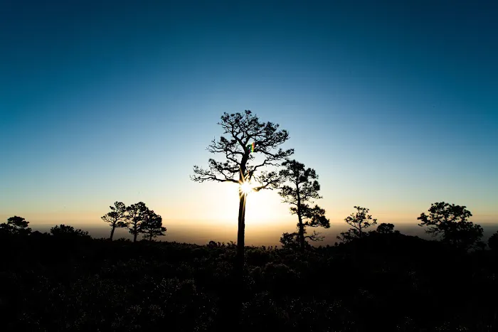 Guadalupe Peak Wilderness Campground 1