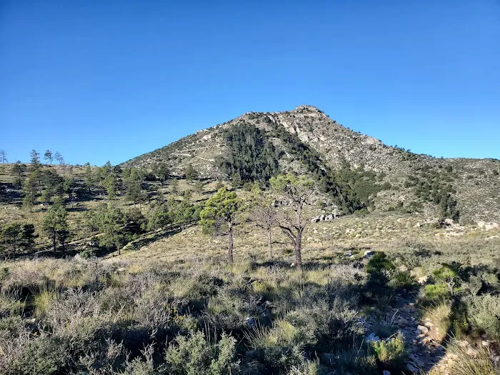 Guadalupe Peak Wilderness Campground 5