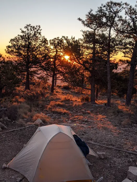 Guadalupe Peak Wilderness Campground 8