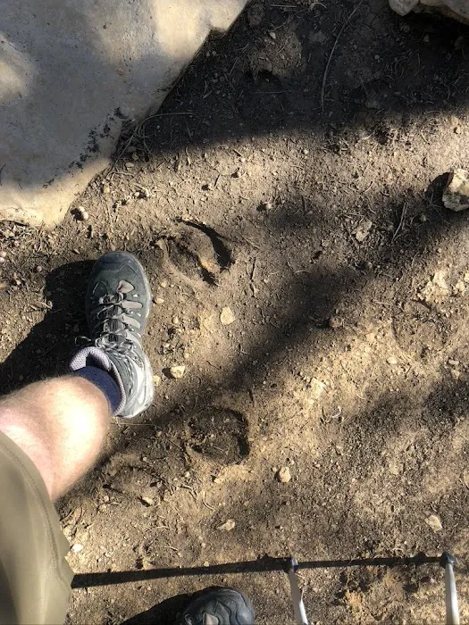 Mescalero Wilderness Campground 3