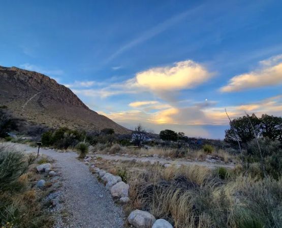 Pine Springs Campground