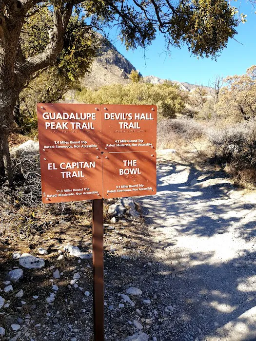 Pine Springs Campground 3