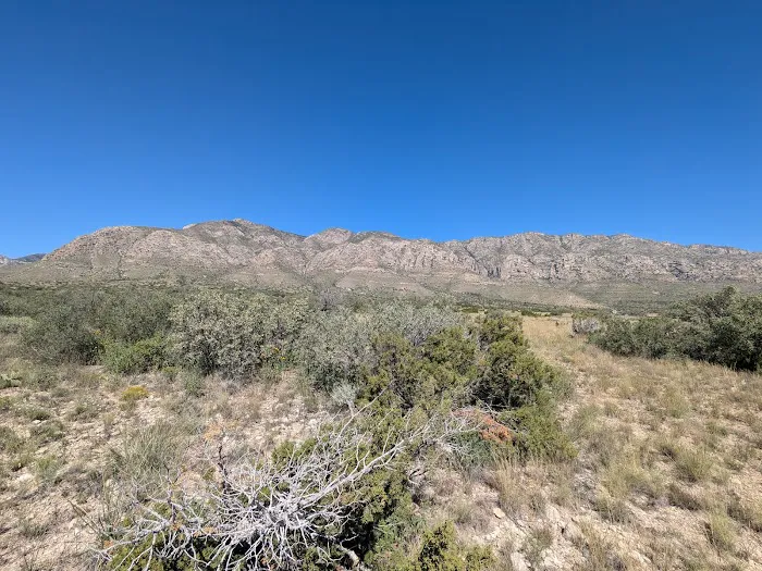 Frijole Horse Campground 7