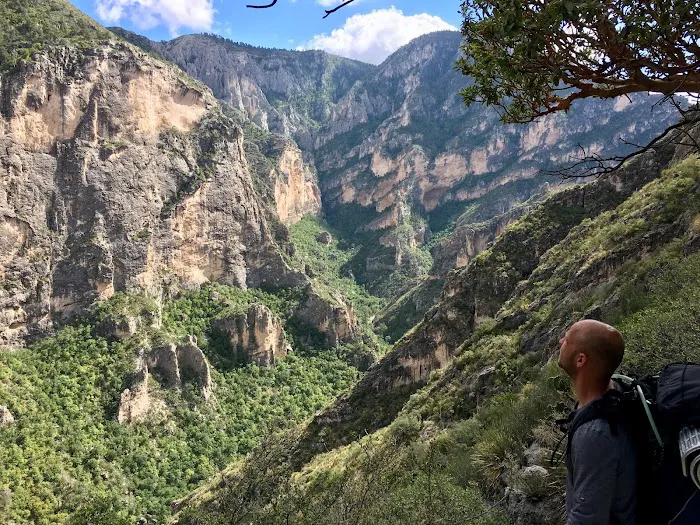 McKittrick Ridge Wilderness Campground 9
