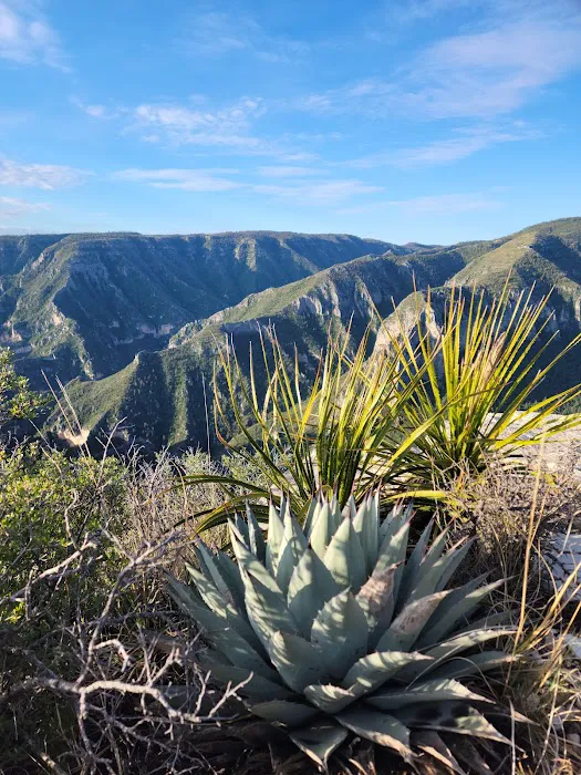 McKittrick Ridge Wilderness Campground 2