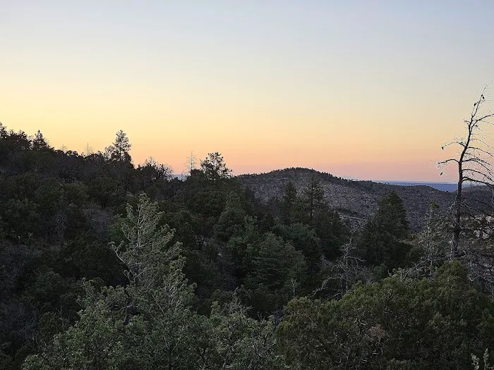 McKittrick Ridge Wilderness Campground 7