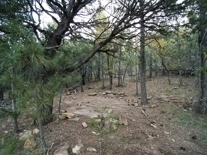 McKittrick Ridge Wilderness Campground 8