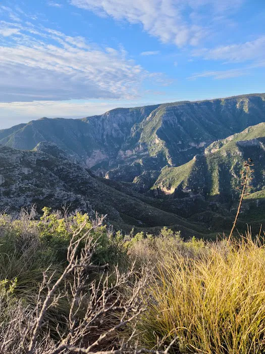 McKittrick Ridge Wilderness Campground 1