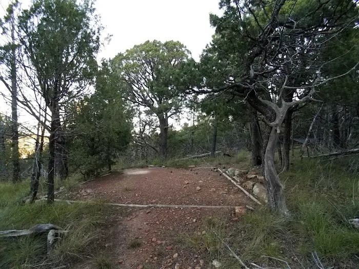 McKittrick Ridge Wilderness Campground 6