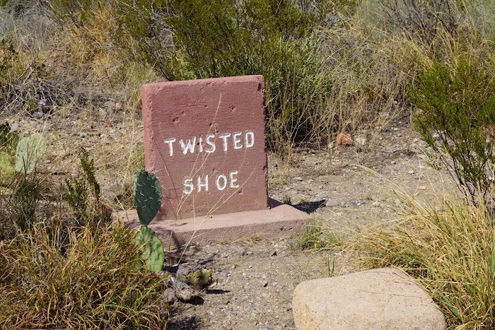 Twisted Shoe 9