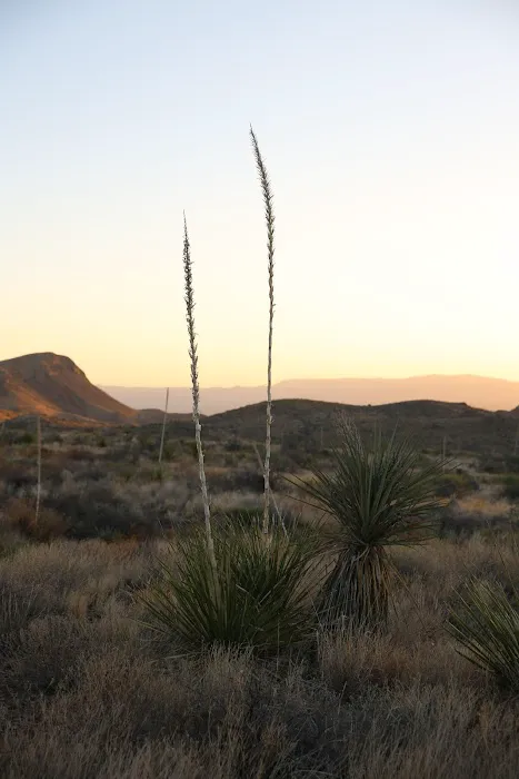 Pine Canyon 4 6