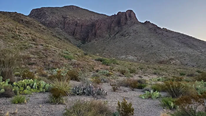 Pine Canyon 1 7