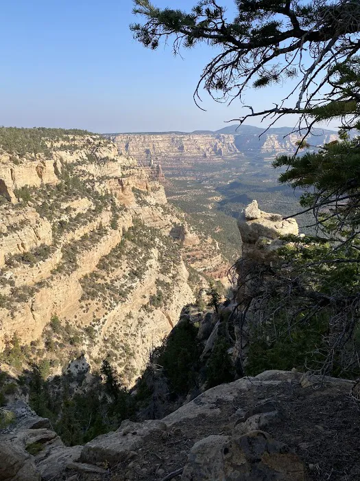 Primitive Roadside Campsites— Paint Gap 7