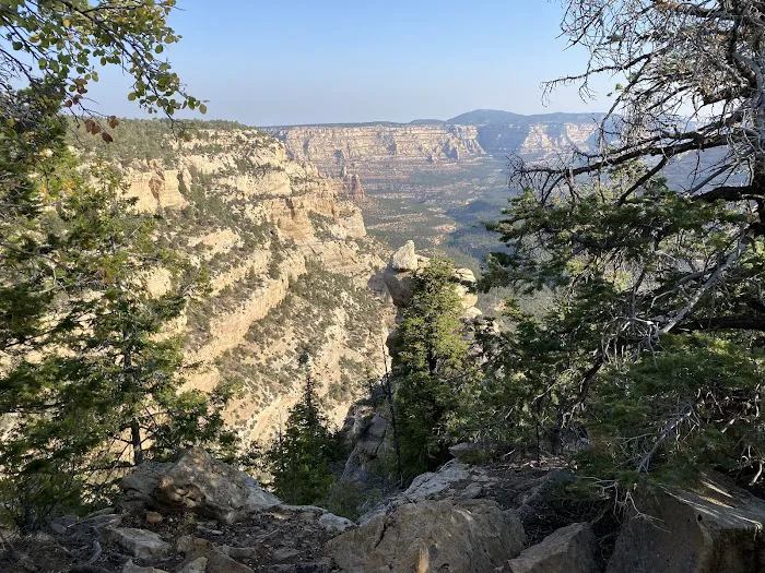 Primitive Roadside Campsites— Paint Gap 9