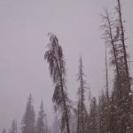 Horseshoe Campground