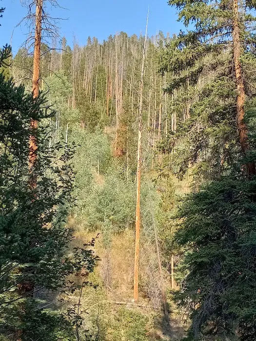 Horseshoe Campground 8