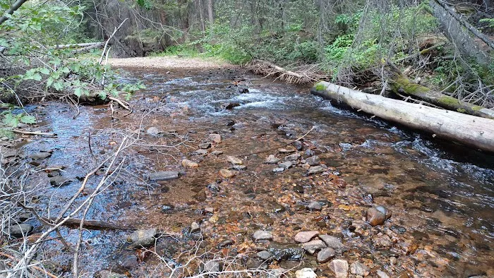 Horseshoe Campground 5