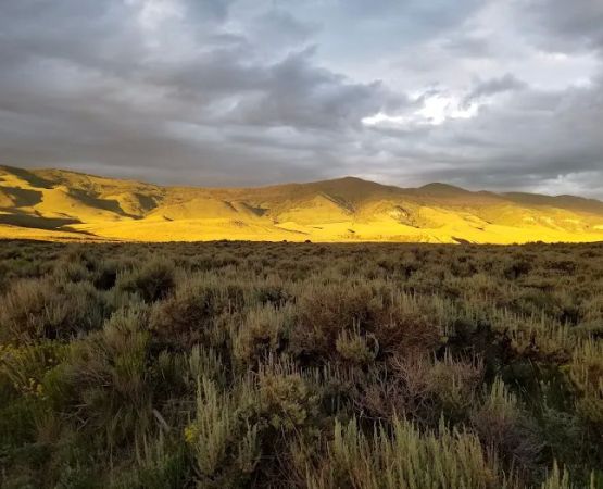 Cow Creek South Campground
