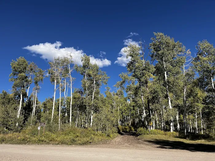 Buford Newcastle Winter Trailhead (recgovnpsdata) 4