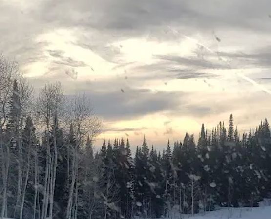 Buford Newcastle Winter Trailhead (recgovnpsdata)