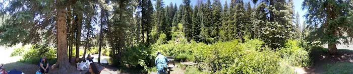Spruce Group Picnic Site (recgovnpsdata) 8